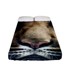 Tiger Bengal Stripes Eyes Close Fitted Sheet (full/ Double Size)