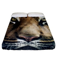 Tiger Bengal Stripes Eyes Close Fitted Sheet (queen Size)
