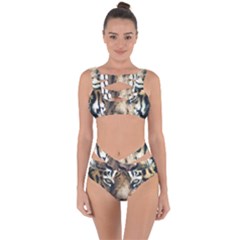 Tiger Bengal Stripes Eyes Close Bandaged Up Bikini Set 