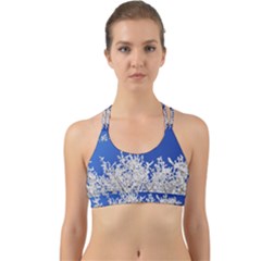 Crown Aesthetic Branches Hoarfrost Back Web Sports Bra by BangZart