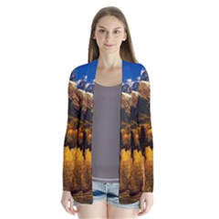 Colorado Fall Autumn Colorful Drape Collar Cardigan