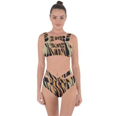 Animal Tiger Seamless Pattern Texture Background Bandaged Up Bikini Set  by BangZart