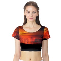 Tree Series Sun Orange Sunset Short Sleeve Crop Top