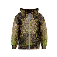 Peacock Feathers Wheel Plumage Kids  Zipper Hoodie