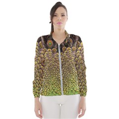 Peacock Feathers Wheel Plumage Wind Breaker (women) by BangZart