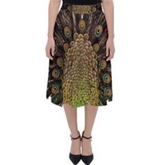 Peacock Feathers Wheel Plumage Folding Skater Skirt by BangZart
