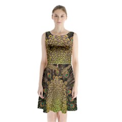 Peacock Feathers Wheel Plumage Sleeveless Waist Tie Chiffon Dress