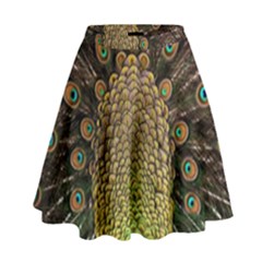 Peacock Feathers Wheel Plumage High Waist Skirt