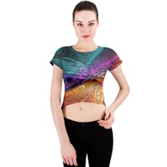 Graphics Imagination The Background Crew Neck Crop Top