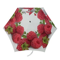 Fruit Healthy Vitamin Vegan Mini Folding Umbrellas by BangZart