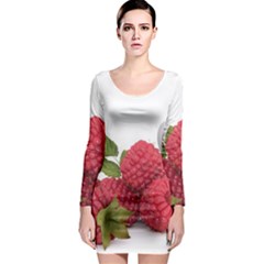 Fruit Healthy Vitamin Vegan Long Sleeve Bodycon Dress