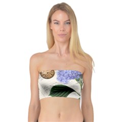 Vintage Shabby Chic Dragonflies Bandeau Top