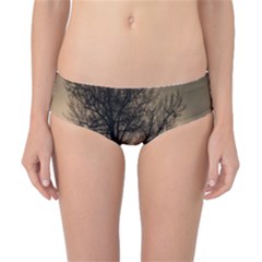 Tree Bushes Black Nature Landscape Classic Bikini Bottoms