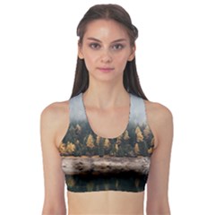 Trees Plants Nature Forests Lake Sports Bra