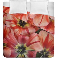 Tulips Flowers Spring Duvet Cover Double Side (king Size) by BangZart