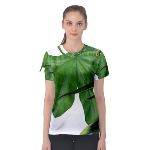 Plant Berry Leaves Green Flower Women s Sport Mesh Tee by BangZart