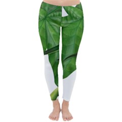 Plant Berry Leaves Green Flower Classic Winter Leggings by BangZart