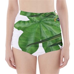 Plant Berry Leaves Green Flower High-waisted Bikini Bottoms