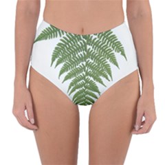 Boating Nature Green Autumn Reversible High-waist Bikini Bottoms