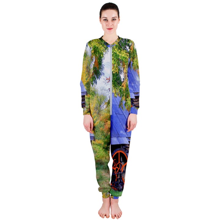 Landscape Blue Shed Scenery Wood OnePiece Jumpsuit (Ladies) 