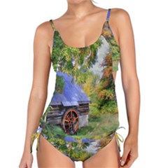 Landscape Blue Shed Scenery Wood Tankini Set by BangZart