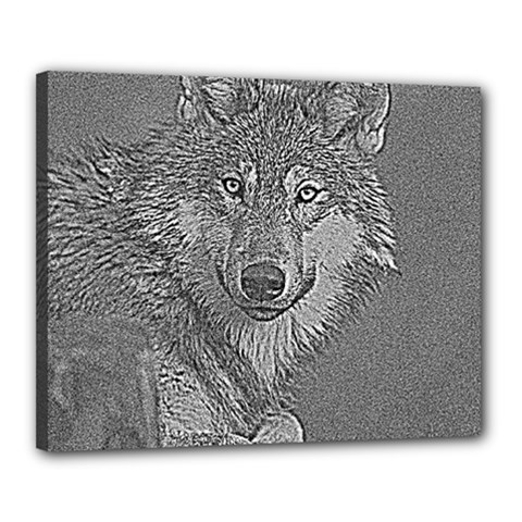 Wolf Forest Animals Canvas 20  x 16 