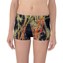 Artistic Effect Fractal Forest Background Boyleg Bikini Bottoms by Amaryn4rt