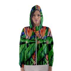 Flowers Art Beautiful Hooded Wind Breaker (women) by Celenk