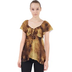Cat Tiger Animal Wildlife Wild Lace Front Dolly Top by Celenk