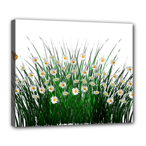 Spring Flowers Grass Meadow Plant Deluxe Canvas 24  X 20   by Celenk