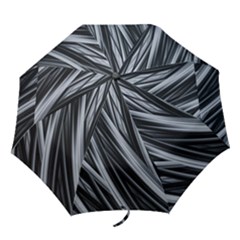 Fractal Mathematics Abstract Folding Umbrellas