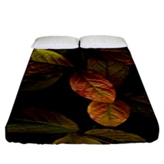 Autumn Leaves Foliage Fitted Sheet (king Size)