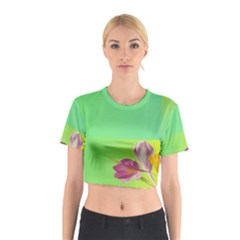 Background Homepage Blossom Bloom Cotton Crop Top by Celenk