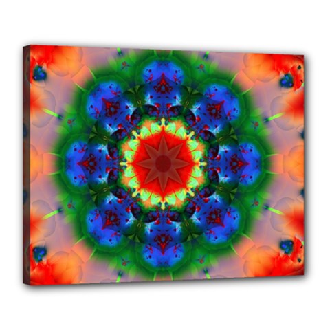 Fractal Digital Mandala Floral Canvas 20  X 16  by Celenk