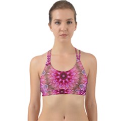 Flower Mandala Art Pink Abstract Back Web Sports Bra by Celenk