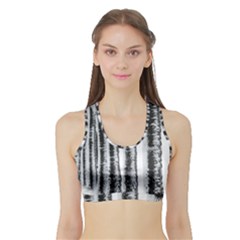 Row Trees Nature Birch Sports Bra With Border by Celenk