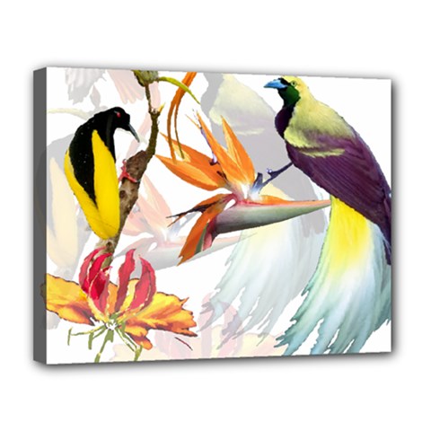 Birds Of Paradise Canvas 14  X 11  by TKKdesignsCo