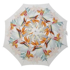 Birds Of Paradise Straight Umbrellas by TKKdesignsCo