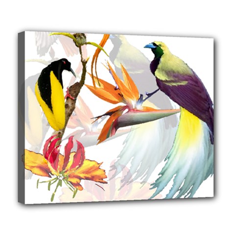 Exotic Birds Of Paradise And Flowers Watercolor Deluxe Canvas 24  X 20  