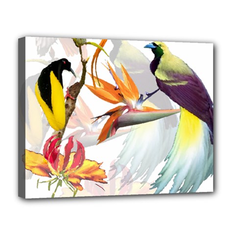Exotic Birds Of Paradise And Flowers Watercolor Canvas 14  X 11  by TKKdesignsCo