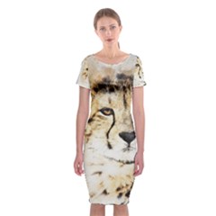 Leopard Animal Art Abstract Classic Short Sleeve Midi Dress by Celenk