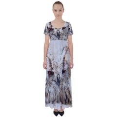 Bird Owl Animal Art Abstract High Waist Short Sleeve Maxi Dress by Celenk