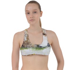 Bear Baby Sitting Art Abstract Criss Cross Racerback Sports Bra