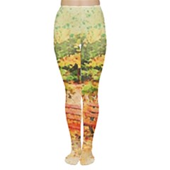 Tree Park Bench Art Abstract Women s Tights