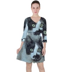 Cat Pet Art Abstract Vintage Ruffle Dress