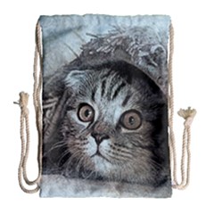 Cat Pet Art Abstract Vintage Drawstring Bag (large) by Celenk