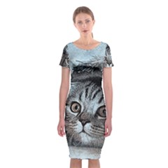 Cat Pet Art Abstract Vintage Classic Short Sleeve Midi Dress by Celenk