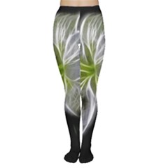 White Lily Flower Nature Beauty Women s Tights