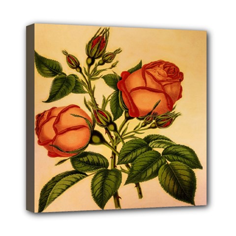 Vintage Flowers Floral Mini Canvas 8  X 8  by Celenk