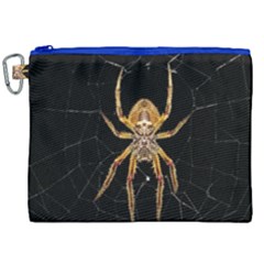 Nsect Macro Spider Colombia Canvas Cosmetic Bag (xxl) by Celenk